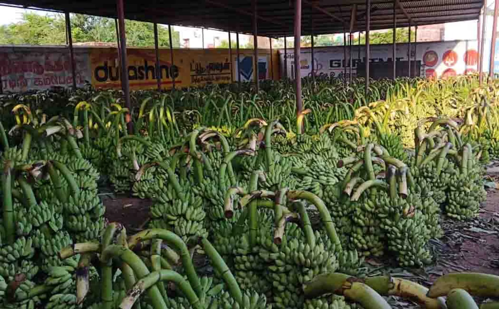 vathalagundu market 